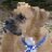 Buddy2003