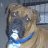 Axle