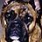 firedog