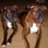 Daisy&Dixie