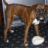 Richie_UK