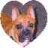 Baxter'sMom
