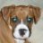 Bustrsmomma