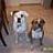 boxerlover1