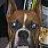 patches298