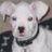 Tracy_K
