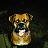 Rocko'smom