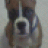 IluvMyZeus