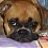 Roxie'sMommy