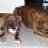 Zena & Blaze