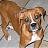MaBoxer