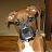 DaisyDoo