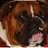 Rockys_Momma