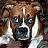 callaway_boz