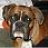 kiraboxer