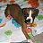Indiana_pk
