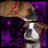 myboxerbabyz