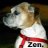 ZenZenZen