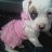 staceyg