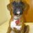 Brindle Girl