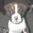 ZDBoxer