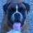 Bex_n_Ballou