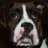 RileyandMax