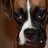 rayofsun