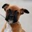 richiehatch