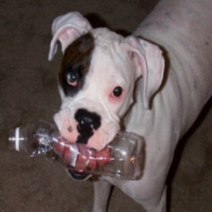 One of my favorite toys!