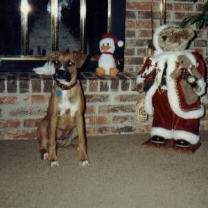 Annie November 2001 - age 18 wks