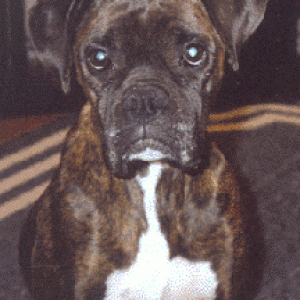 Foster