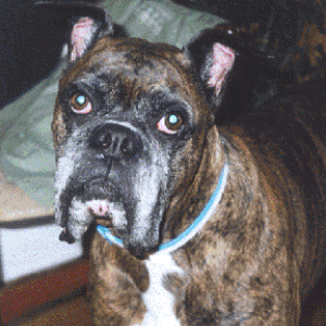 What a handsome boy