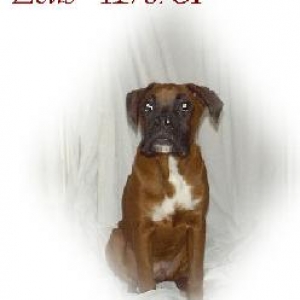 zeus alone