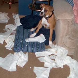 ......and this is for not giving my present