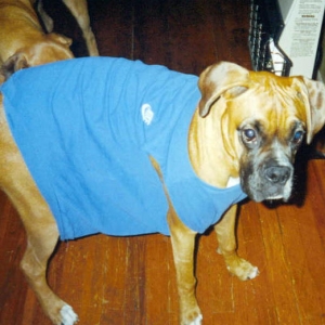 Does this make me look fat?