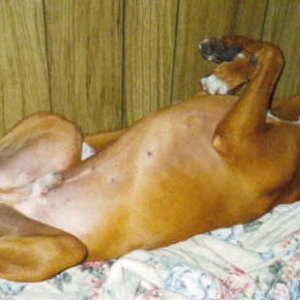 "I think I drank too much"