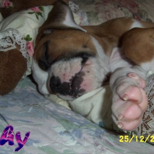 gosh im comfortable