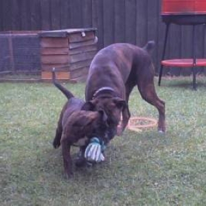 Tess and Mav