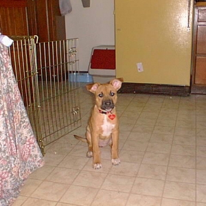 Emma 12-31-01