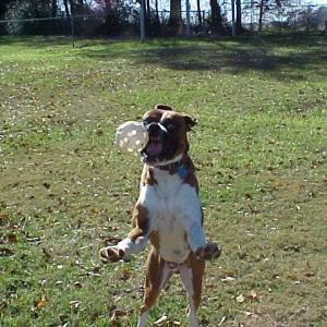 it's MINE!