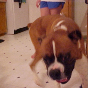I'm gonna get that camera!