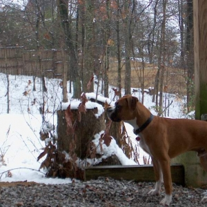 Don't think I want to go out there!