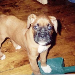 Please dont throw ME out..