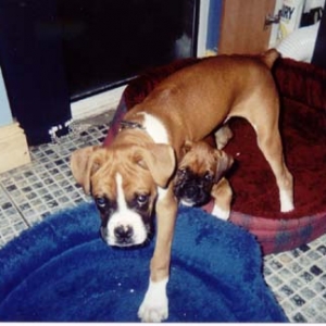 Hey Watch It Big Boy