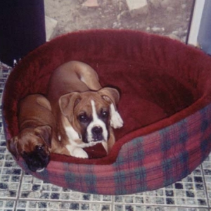 Just Cos UR Bigger ....