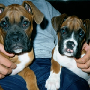 Max & Lexi - Partners In Crime