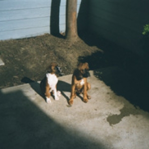 Max & Lexi - Partners in Crime