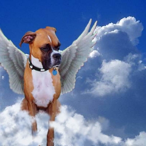 My sweet angel....I miss you!