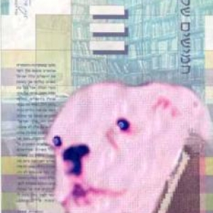 Yogi in Israeli money